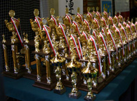 XVI Mistrzostwa Polski Seniorów Oyama Karate