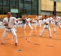 Tonfa kata